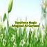 J0AjJYC_KsM-channel-avatar-ToonVersMagic