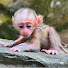 oG0-teZ7J0U-channel-avatar-Animals Jungle 