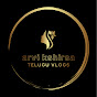 Arvi Vlogs In USA logo