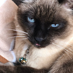 生きていても何も楽しい事ないって幼少期から思ってるけど、やっぱり何も楽しい事ない