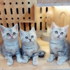 ドロドロスカッとチャンネル 2ちゃんねるまとめ