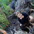 nPOktNjEKqM-channel-avatar-Bear Wiseman