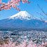 nslGZ-ykLIY-channel-avatar-Yamin Japanese Language Center