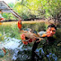 Bs9BZKz2LiI-channel-avatar-trưởng 79 tv and solo survival - camping