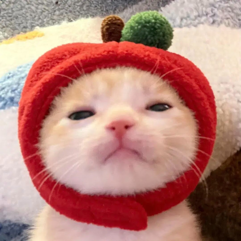 wen2