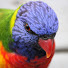 j9zvsdnzfYA-channel-avatar-HAVE A FUN DAY