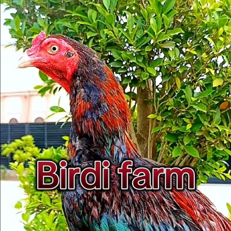 Birdi Farm