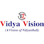 Vidya Vision logo