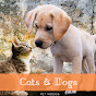 CATS And DOGS logo