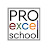 Pro Excel School