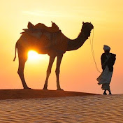 Desert Animals Official