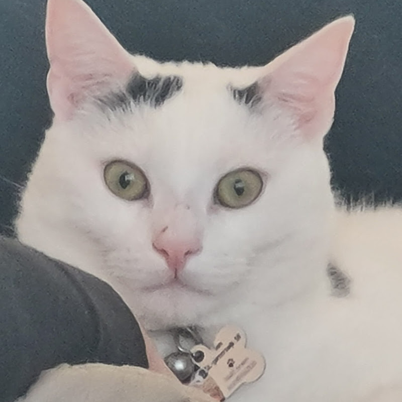 Space-Poes icon