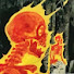 7desjN3dJ5o-channel-avatar-Evan Phelps