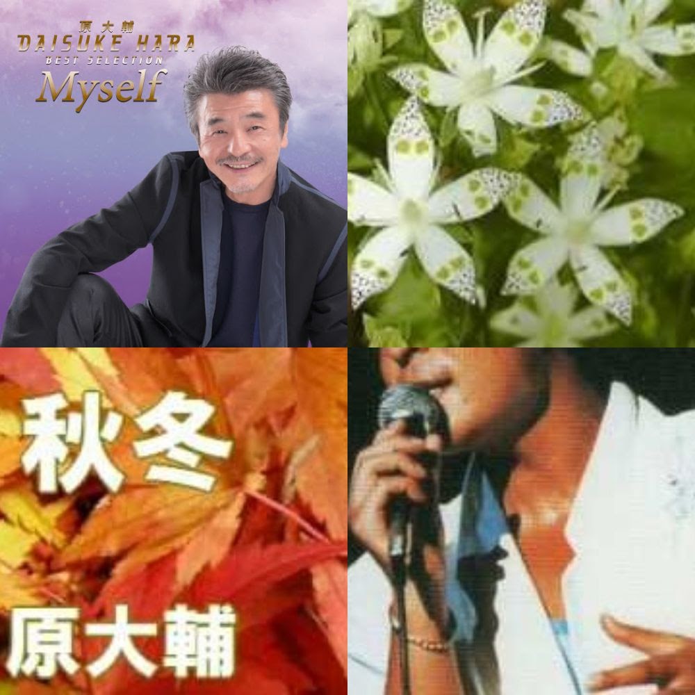 原大輔