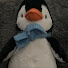 316QPpY2_1I-channel-avatar-Pengoo