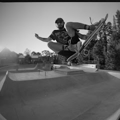 jose trevino
