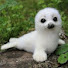 Q1_be4Ns0vg-channel-avatar-Pawfectly Cute