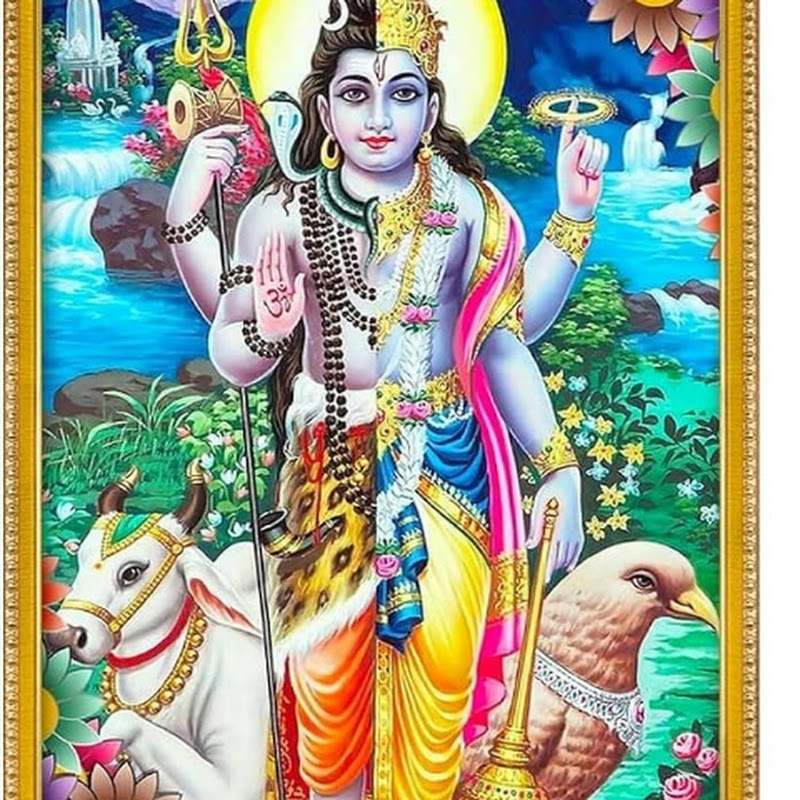 Shreeradha Astro _ Tarrot & Healing