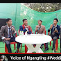 Voice Of Ngangting -VON logo