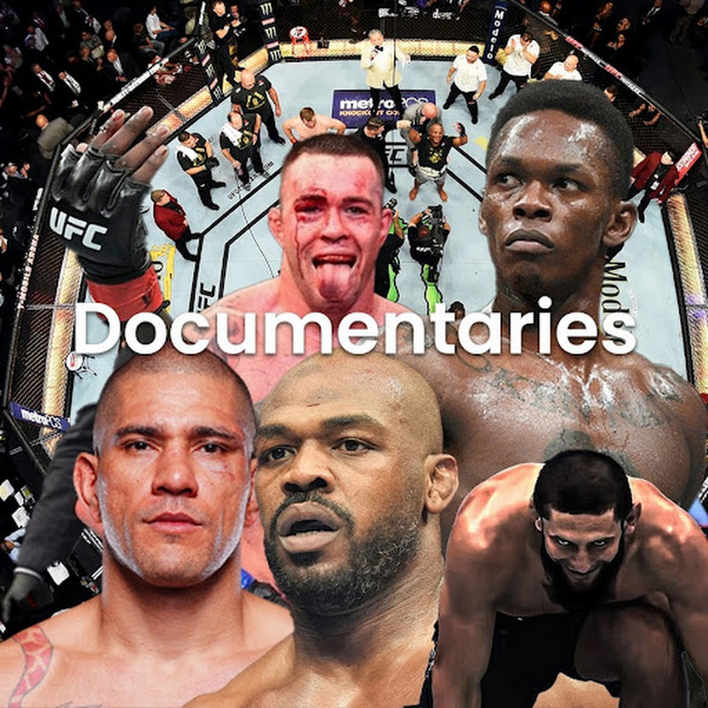 Fighters’ Chronicles