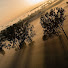 JjtNq1PGFls-channel-avatar-Sweet Records Co.