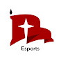 Northwestern College Esports logo