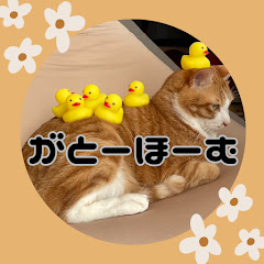 【読書感想文】がとーほーむアイコン画像