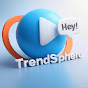 TrendSphere logo