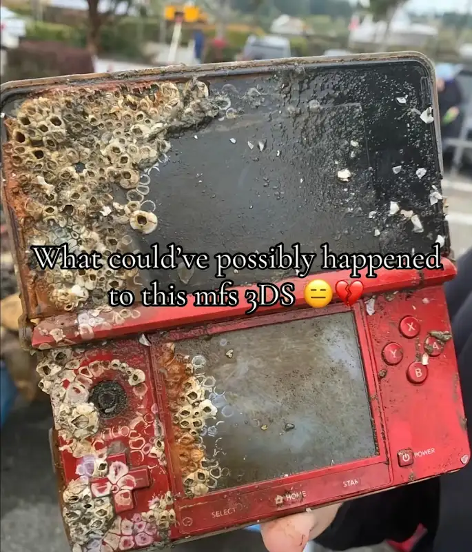 iTGCp5NWMBhbM4oJVOjWca7lu2mgM6-lVxfol_4c8PKYRPscYNvydwgfXooCiYlOpbGFC25Oxmd5Bw=s800-rw-nd-v1