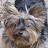 @dnile50 Avatar