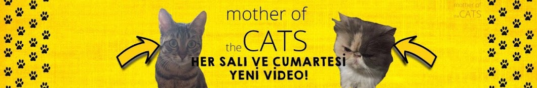 mother of the cats رمز قناة اليوتيوب