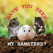 Have you seen my hamsters?