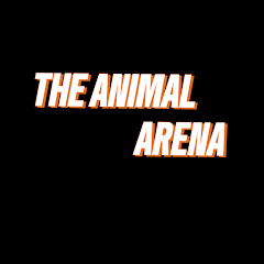 The Animal Arena