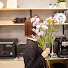 8-QwSiHPMcM-channel-avatar-atonami home アトナミホーム