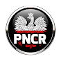 Polish New Castle Radio logo