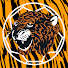 Channel Image