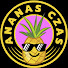 CM5mXSWd48w-channel-avatar-Ananas Czas