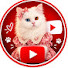 5PeENO-lNYM-channel-avatar-lelly daily vlog