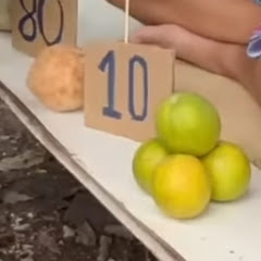 sisakettv