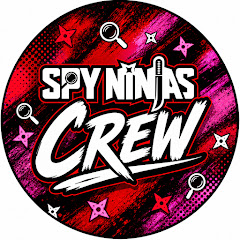 Spy Ninjas Crew