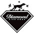 EaZfjKdPC3E-channel-avatar-Diamond Bird Dogs