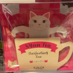 英語日記_English journalアイコン画像