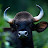 @Rahul-pk5kp Avatar