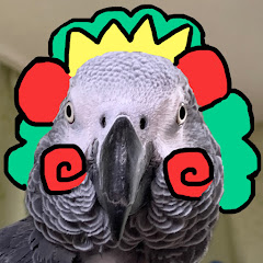 ヨウムのるいちゃんと愉快な仲間達