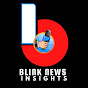 BlinkNews Insights  logo