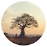 6umWLosGhNs-channel-avatar-Madagascar