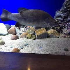 金欠なただのクソガキ