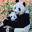 @정융희-x7d