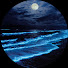 MZ6O9PJu1KQ-channel-avatar-Ocean Night Paradise