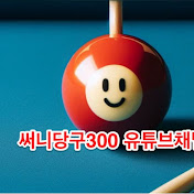 써니당구300